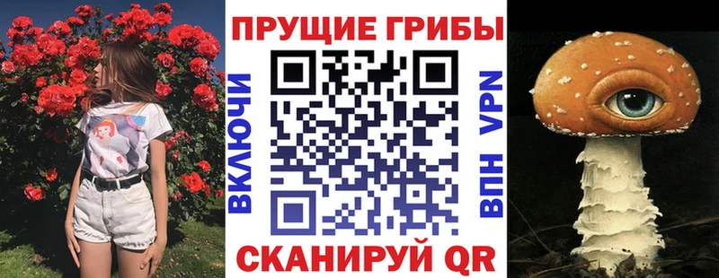 Галлюциногенные грибы прущие грибы Красавино